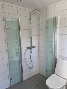 a bathroom with a glass shower and a toilet at Nybyggd lgh 100m till stranden, 150m till golfbana ,samt gemensam pool och spa in Beddinge