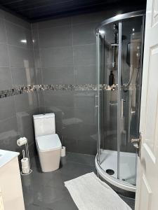 a bathroom with a toilet and a glass shower at Large 7 Bedrooms split-level Flat Sleeps up to 14 in Birmingham