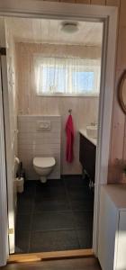 La petite salle de bains est pourvue de toilettes et d'un lavabo. dans l'établissement Berghof, à Geysir