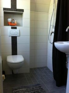 a bathroom with a toilet and a sink at Ferienhäuser Harzperle - Tanne in Tanne
