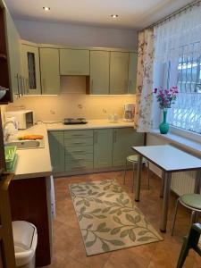 a kitchen with green cabinets and a table and a sink at Pokoje gościnne u Bianki in Szczyrk