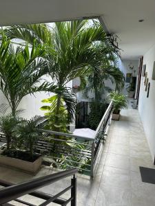 a hallway with palm trees in a building at Hotel Boutique Zoren in Tulum