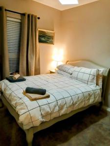 1 dormitorio con 1 cama con lámpara y ventana en Sloanehill en Killyleagh