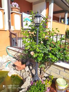 a lamp post in a garden with flowers at Da Zia Piera in Castelnuovo di Porto