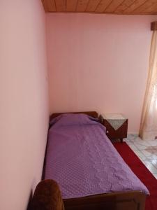a bedroom with a purple bed in a room at Feneos apartment in Feneos