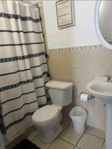 een badkamer met een toilet en een wastafel bij cozy private apartment near sju airport in Carolina