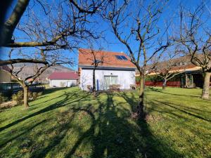 a house with a large yard with trees in front of it at Le gîte de Cléo, maison spacieuse et paisible. in Metzeral