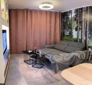 ein Wohnzimmer mit einem Sofa und einem großen Fenster in der Unterkunft Harz High End Fewo Stefanie Bettwäsche und Handtücher inkl in Goslar