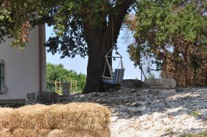 A garden outside Res Nova Il Colle