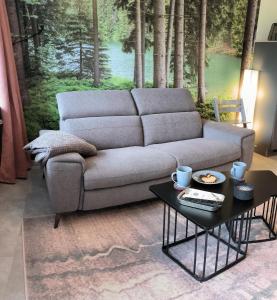 ein Wohnzimmer mit einem Sofa und einem Couchtisch in der Unterkunft Harz High End Fewo Stefanie Bettwäsche und Handtücher inkl in Goslar
