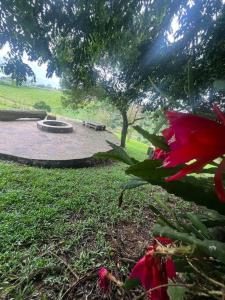 Photo de la galerie de l'établissement Cabana das araucárias, à Carlos Barbosa