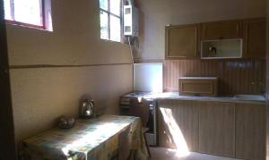 eine kleine Küche mit einem Tisch und einem Herd in der Unterkunft Hostel 48a in Tbilisi City