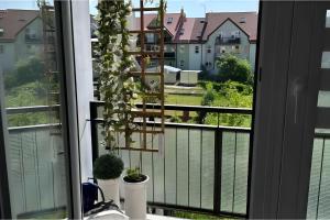 a window with a view of a balcony with plants at Augustòw Centre 1-Bedroom Comfort and Leisure. in Augustów