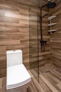 a bathroom with a toilet and a shower at Ski Escape Apartment in Gudauri in Gudauri