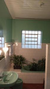 baño con lavabo y bañera con plantas en Casarão 2, en Caxias do Sul