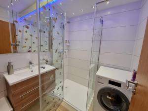 y baño con ducha y lavadora. en 80 qm Apartment Alessia Nürnberg, en Núremberg