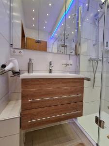 y baño con lavabo y ducha. en 80 qm Apartment Alessia Nürnberg, en Núremberg