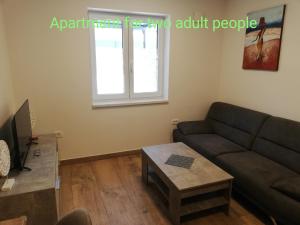 a living room with a couch and a table at Apartments SEEA in Izola