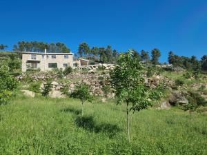 a house on a hill with trees in a field at Hortelã da Ribeira - Serra da Estrela in Cortes do Meio