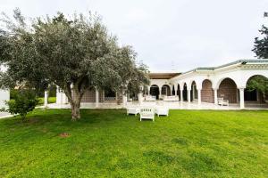 a building with tables and a tree in the yard at Arabesque House in La Marsa