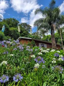 ein Blumenfeld vor einem Haus in der Unterkunft Casa de campo em Carlos Barbosa - Serra Gaúcha in Carlos Barbosa