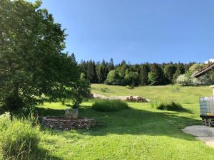 een grasveld met een boom en bomen op de achtergrond bij LaTerestone 