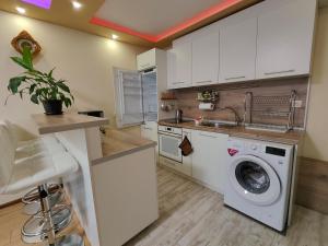 cocina con lavadora y fregadero en Newly renovated 2 bedroom apartment in Sofia, en Sofía