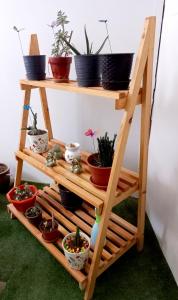 a wooden shelf with potted plants on it at Casa Entre Rocas y Veleros in Los Órganos