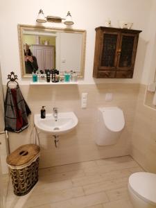 a bathroom with a sink and a toilet and a mirror at Sweet Home in Löhne