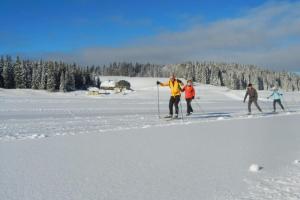a group of people on skis in the snow at Appartement Évillers in Évillers