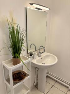 uma casa de banho com um lavatório, um espelho e uma planta em Somptueux Appart' Aux Portes de Disneyland em Serris