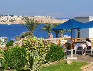 First Class at Naama Bay Hotel Appartments في شرم الشيخ: امرأة تجلس على طاولة تحت مظلة زرقاء