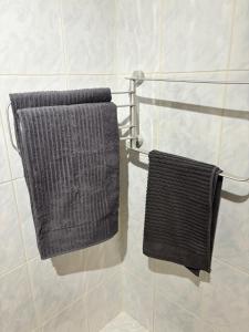 two towels hanging on a towel rack in a bathroom at Évasion proche Disneyland in Torcy