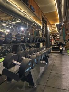 Das Fitnesscenter und/oder die Fitnesseinrichtungen in der Unterkunft Pucuk Bali Homestay