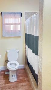 a bathroom with a toilet and a shower curtain at Lulu cottage in Basse Terre Town