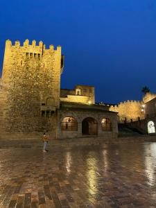 una persona de pie delante de un castillo por la noche en Apartamentos Caceres, en Cáceres