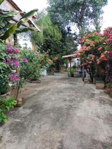 eine Auffahrt mit Blumen und Pflanzen in einem Hof in der Unterkunft Sitio Cantinho da Alegria in Confins