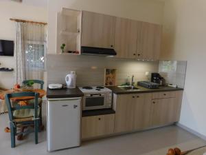 a small kitchen with a stove and a microwave at Ikaros Villa in Makry Gialos