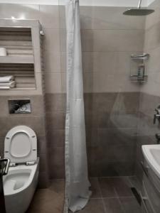 a bathroom with a shower and a toilet and a sink at Apartments Budva Center in Budva
