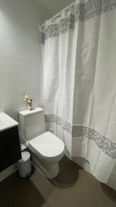 a bathroom with a toilet and a shower curtain at Apartamento en Santiago. in Santiago