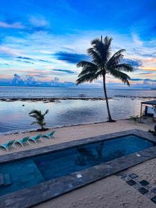 een palmboom en een zwembad naast het strand bij Pension Irivai, Appartement RAVA 1 chambre bord de mer in Uturoa