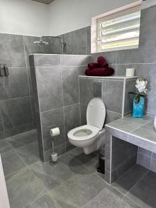 La salle de bains est pourvue de toilettes blanches et d'un lavabo. dans l'établissement Pension Irivai, Appartement RAVA 1 chambre bord de mer, à Uturoa