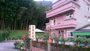 A garden outside Cuiti B&B