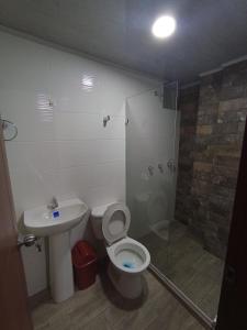 La salle de bains est pourvue de toilettes, d'un lavabo et d'une douche. dans l'établissement HOTEL EL GRAN CASINO ESMERALDA, à Barbosa