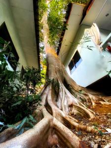 Fotografie z fotogalerie ubytování Kamrai Resort v destinaci Ko Chang