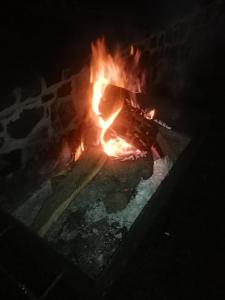 un fuego en un horno de ladrillo por la noche en Villa Barrandovská, en Praga