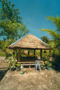 Zahrada ubytování Koh Rong 71 Guesthouse