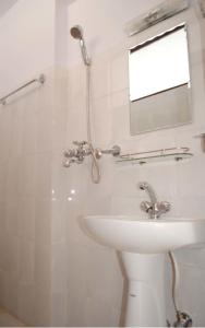 y baño con lavabo, ducha y espejo. en Avalon House, en Katmandú
