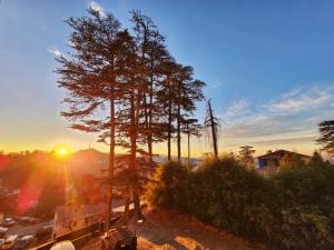 een boom op een parkeerplaats met de zonsondergang op de achtergrond bij Hotel Pineview Shimla in Shimla