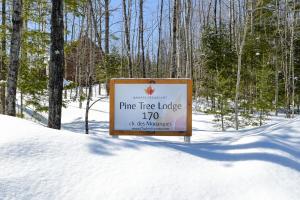 Pine Tree Lodge v zimě